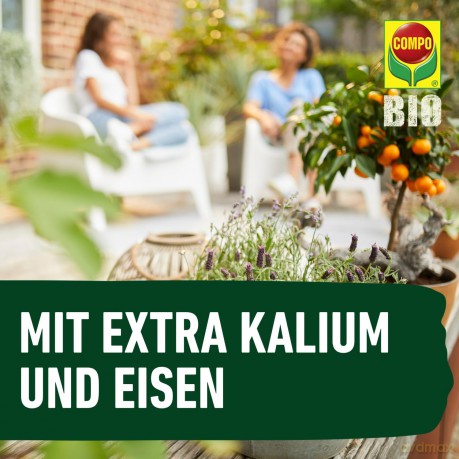 Compo: COMPO BIO Zitrusdźnger 500,0 ml