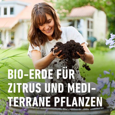 Compo: COMPO BIO Zitruspflanzenerde 10,0 l