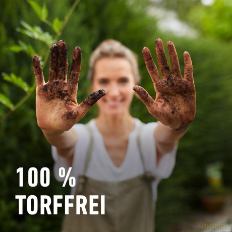 Compo: COMPO BIO Zitruspflanzenerde 10,0 l
