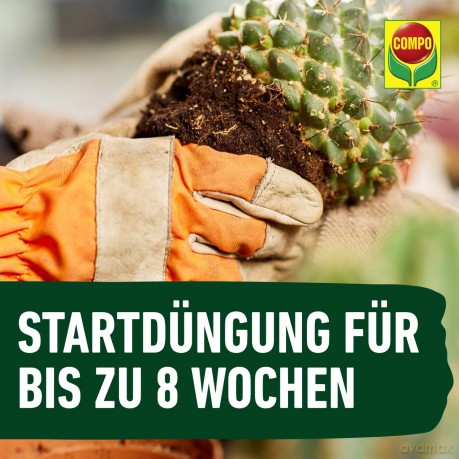 Compo: COMPO CACTEA Kakteenerde 5,0 l