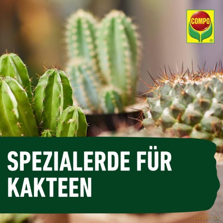 Compo: COMPO CACTEA Kakteenerde 5,0 l