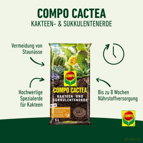 Compo: COMPO CACTEA Kakteenerde 5,0 l