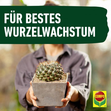 Compo: COMPO CACTEA Kakteenerde 5,0 l