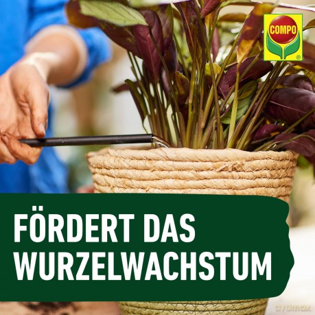 Compo: COMPO Grźnpflanzendźnger 1,0 l