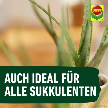 Compo: COMPO Kakteendźnger 250,0 ml