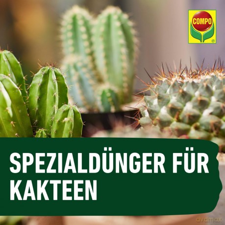 Compo: COMPO Kakteendźnger 250,0 ml