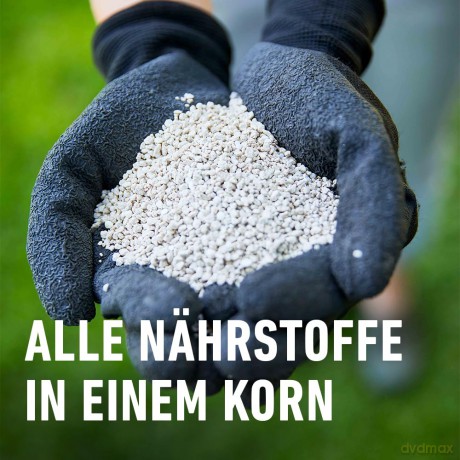 Compo: COMPO Langzeit Rasendźnger 20,0 kg