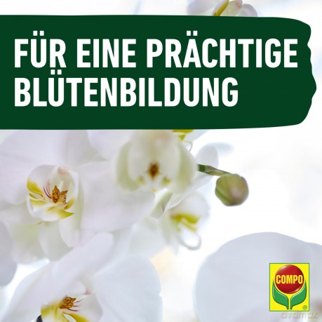 Compo: COMPO Orchideendźnger 250,0 ml