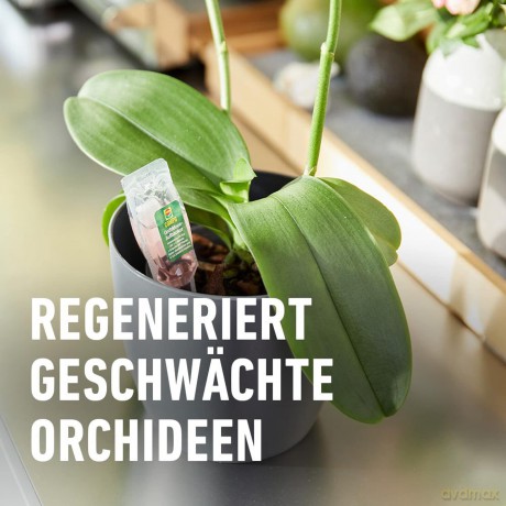 Compo: COMPO Orchideendźnger 30,0 ml