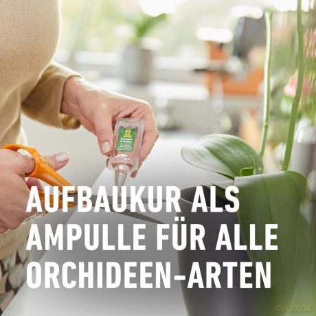 Compo: COMPO Orchideendźnger 30,0 ml