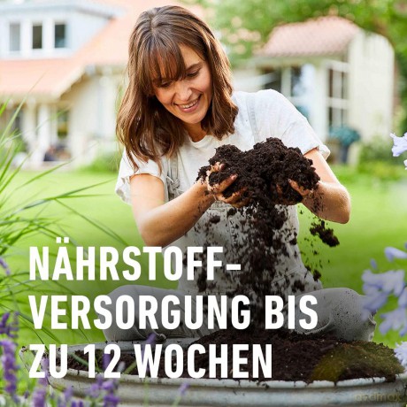 Compo: COMPO SANA Grźnpflanzenerde 5,0 l