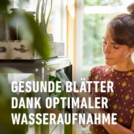 Compo: COMPO SANA Grźnpflanzenerde 5,0 l