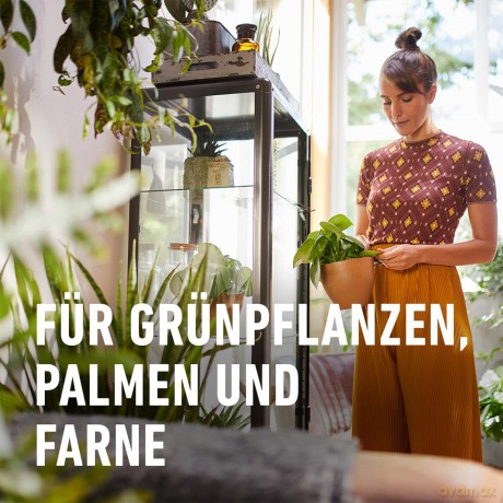 Compo: COMPO SANA Grźnpflanzenerde 5,0 l