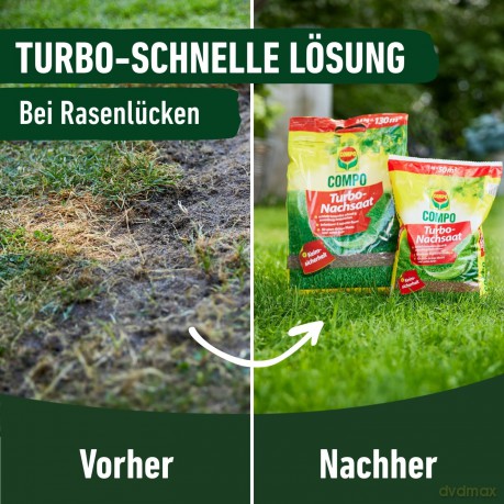 Compo: COMPO Turbo-Nachsaat Rasensamen 1,0 kg