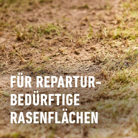 Compo: COMPO Turbo-Nachsaat Rasensamen 2,6 kg