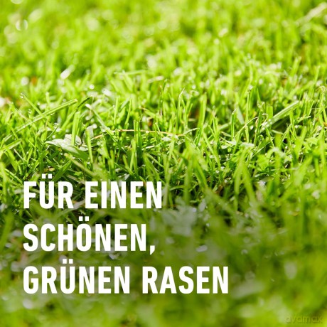 Compo: COMPO Turbo-Nachsaat Rasensamen 2,6 kg