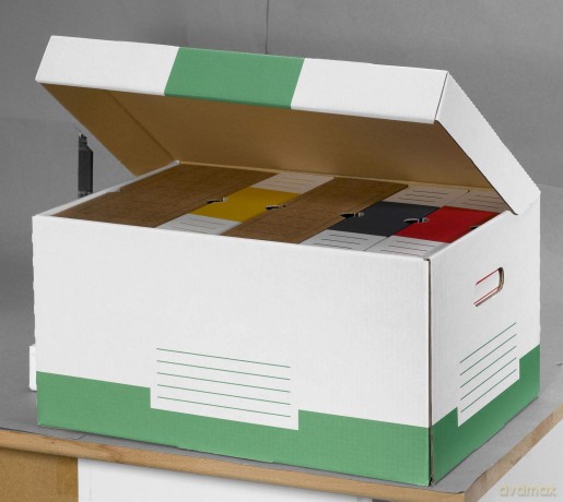 Container-Klappd.Box Gn 10Stk