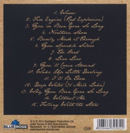 Skydiggers: Northern Shore [CD]