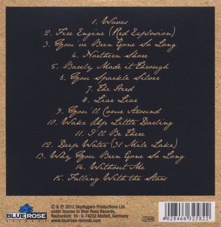 Skydiggers: Northern Shore [CD]