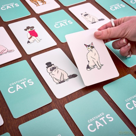 Costumed Cats Memory Game [KSIĄŻKA]