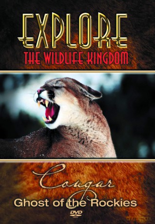 Cougar Ghost Of The Rockies [DVD]