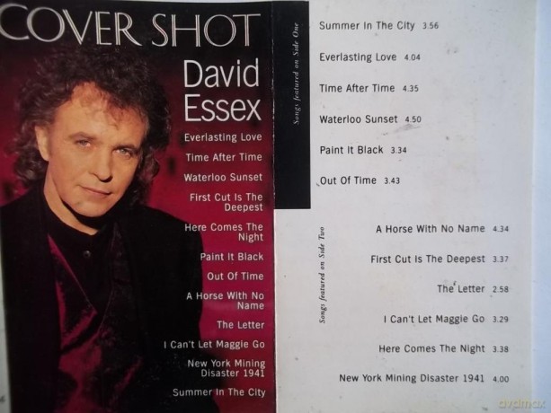 David Essex: Cover Shot