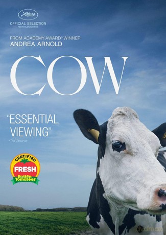 Cow [DVD]