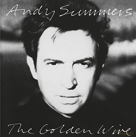 Andy Summers: Golden Wire [CD]