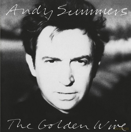 Andy Summers: Golden Wire [CD]