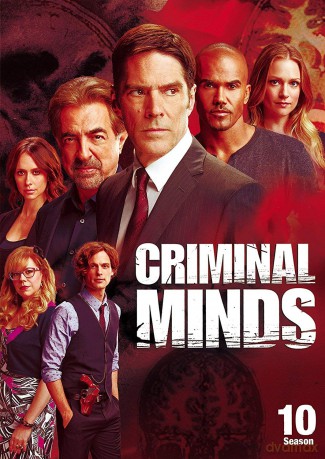 Criminal Minds: The Tenth Season [6DVD]