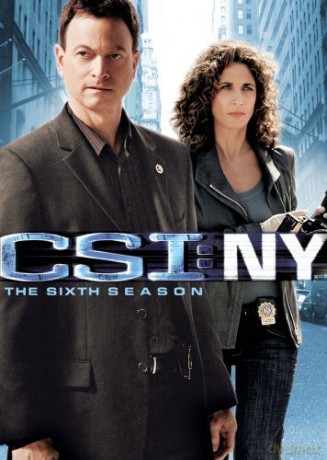 Csi: Ny - Sixth Season [7DVD]