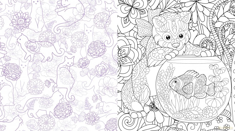 Cute Kittens Everywhere Coloring Book [KSIĄŻKA]