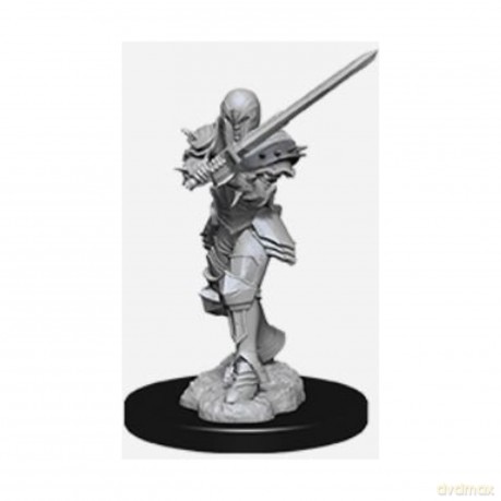 D&D Nolzur Mum Female Human Fighter