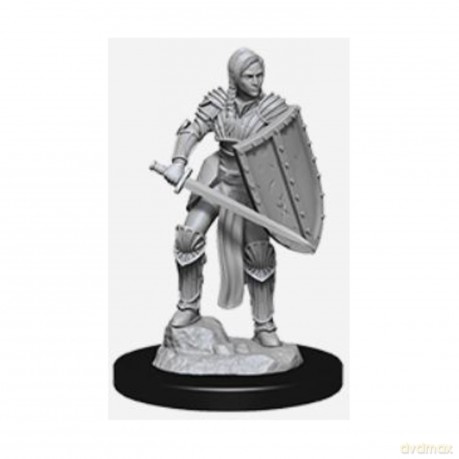 D&D Nolzur Mum Female Human Fighter