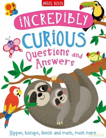 D144hb Curious Qa Incredibly [KSIĄŻKA]