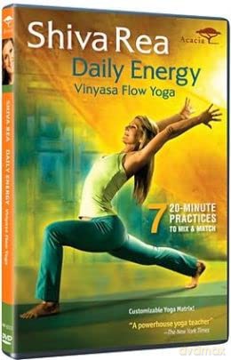 Daily Energy Flow [DVD]