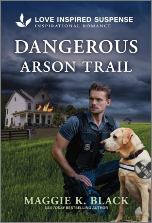 Dangerous Arson Trail [KSIĄŻKA]