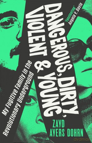 Dangerous Dirty Violent and Young [KSIĄŻKA]