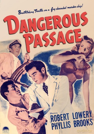 Dangerous Passage [DVD]