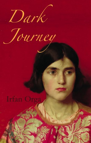 Dark Journey [KSIĄŻKA]