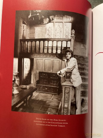 Dark Shadows Return To Collinwood Book [KSIĄŻKA]
