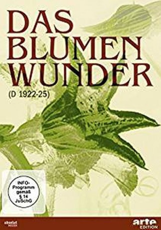 Das Blumenwunder [KSIĄŻKA]