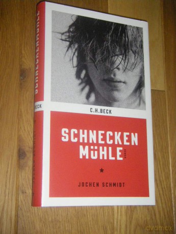 Das geheime Leben der Fliegen [KSIĄŻKA]