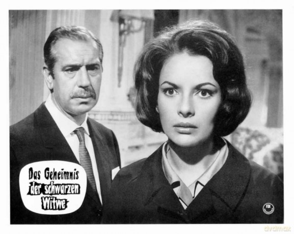 Das Geheimnis Der Schwarzen Witwe [DVD]