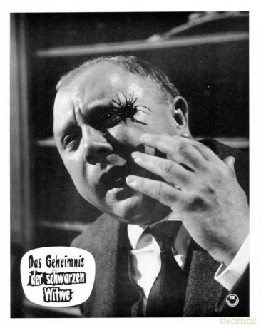 Das Geheimnis Der Schwarzen Witwe [DVD]