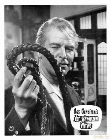 Das Geheimnis Der Schwarzen Witwe [DVD]