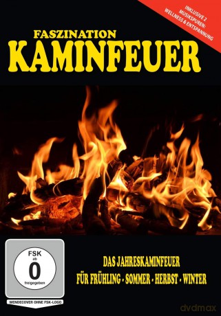 Das Kaminfeuer [DVD]