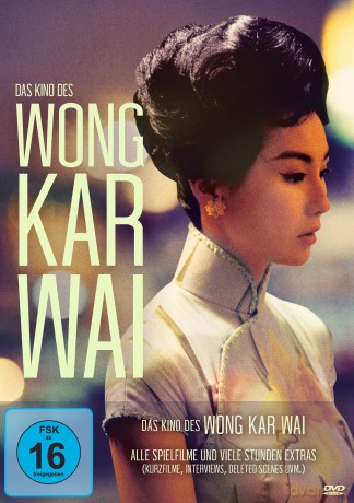 Das Kino des Wong Kar Wai [DVD]