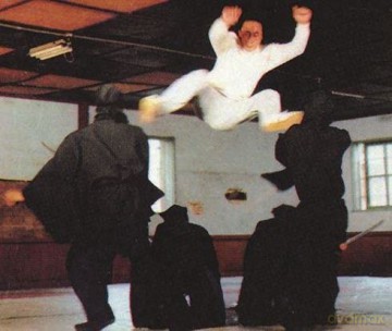 Das Vermaechtnis Der Ninja [DVD]