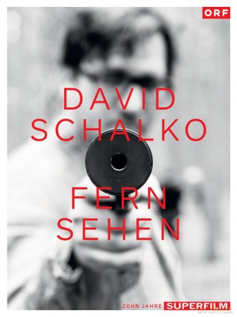 David Schalko: FERN SEHEN (Box-Set) [DVD]